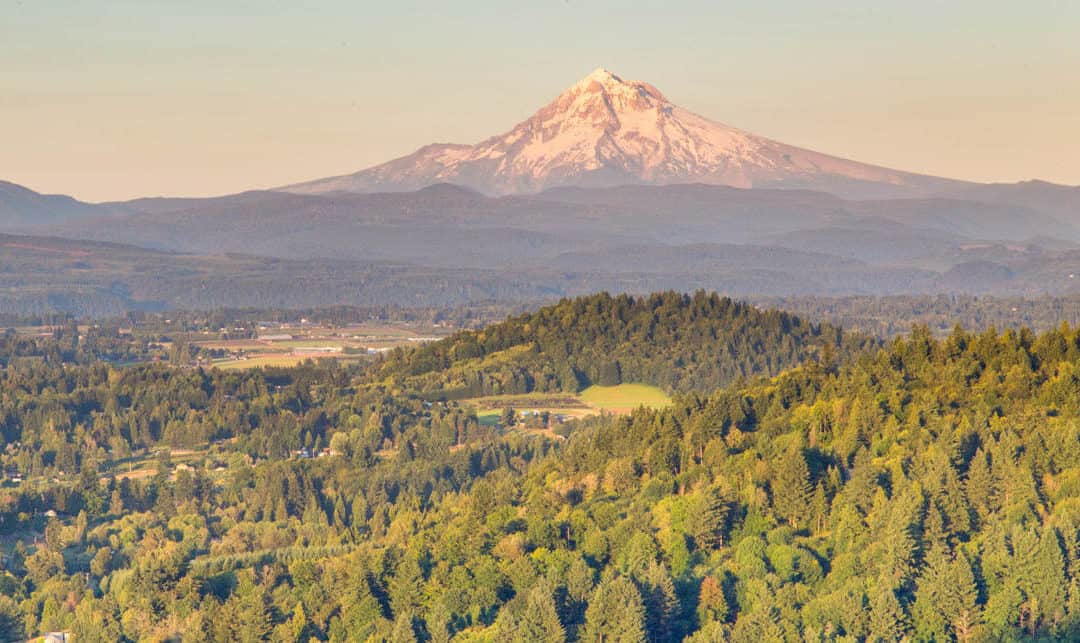 Portland Adapts to the Sixties – Our Home History