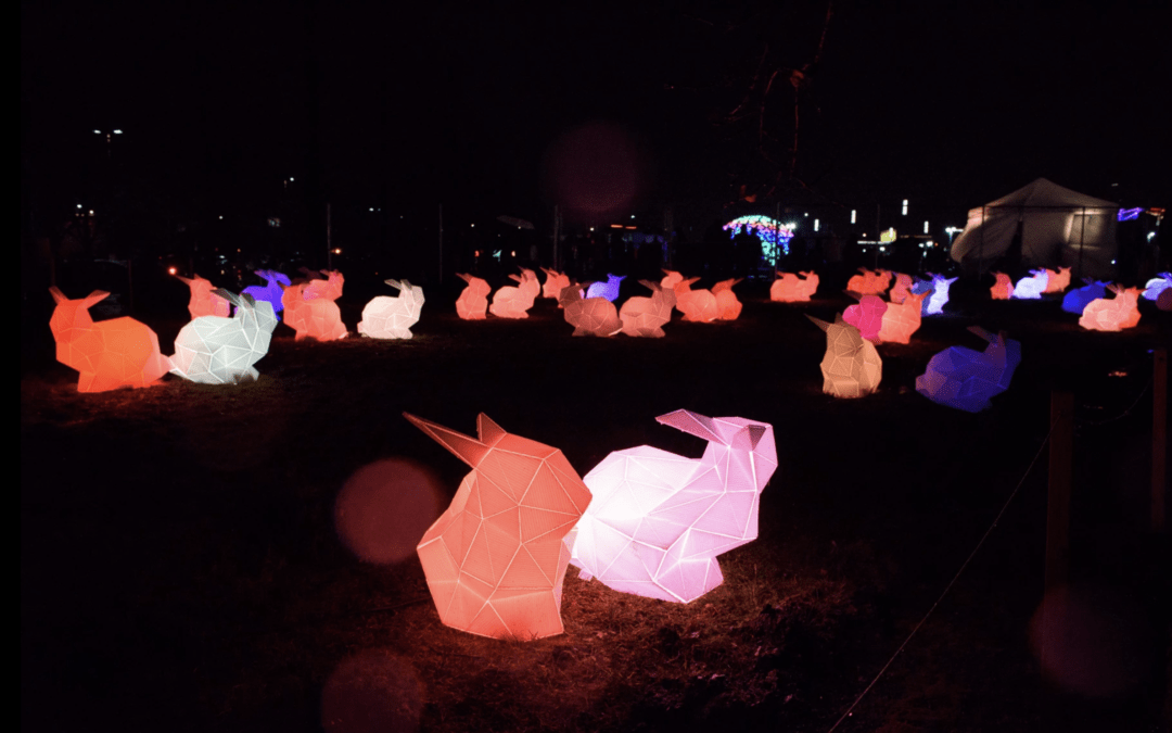 Events – The Portland Winter Light Festival 2018