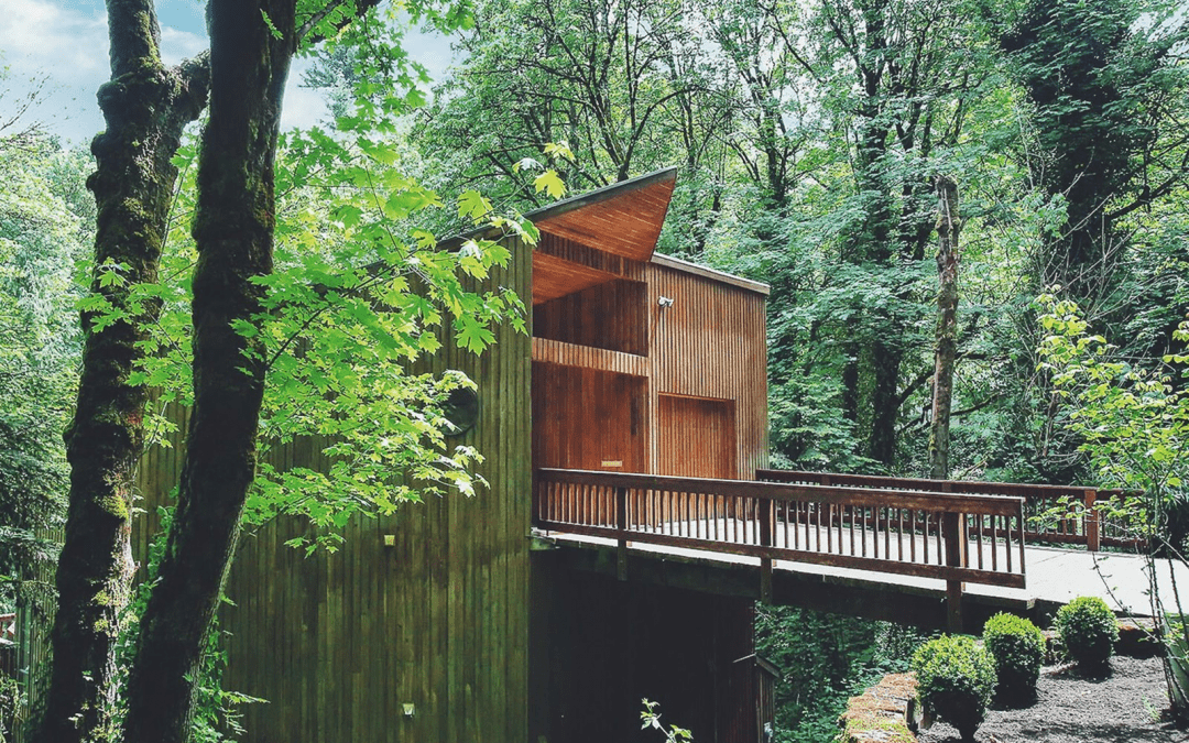Portland’s Unique Modern Architectural AirBnb Rentals