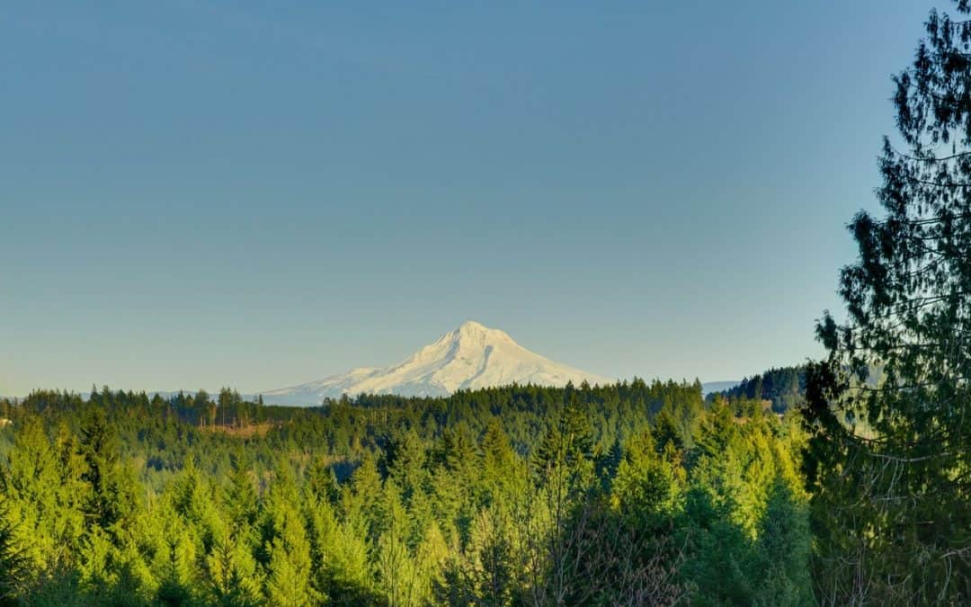 Custom Build Opportunity: Oregon City Lot with Unbeatable Views